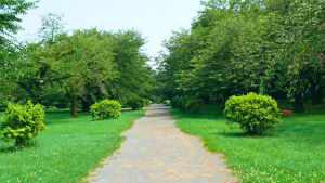 小石川植物園 - その1